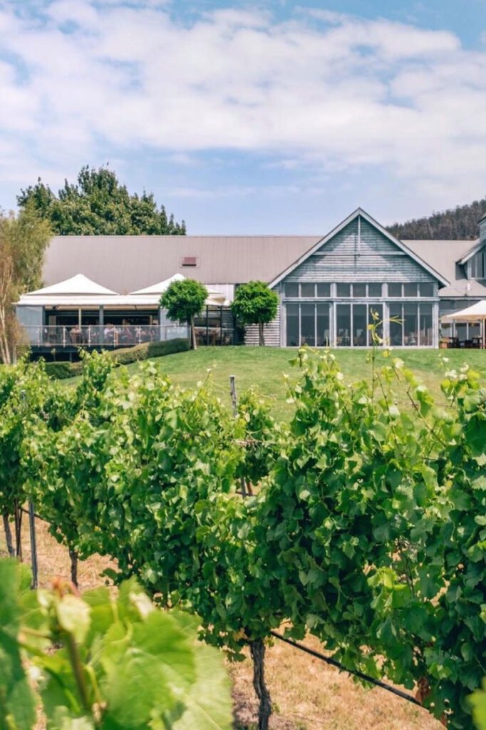 Best Wineries in Tasmania Explora Tasmania Explora Tasmania