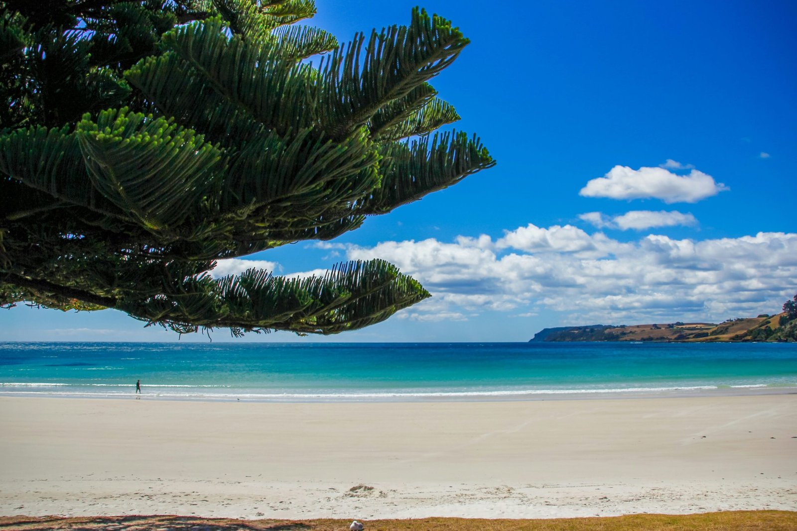 Tasmanian Summer | Explora