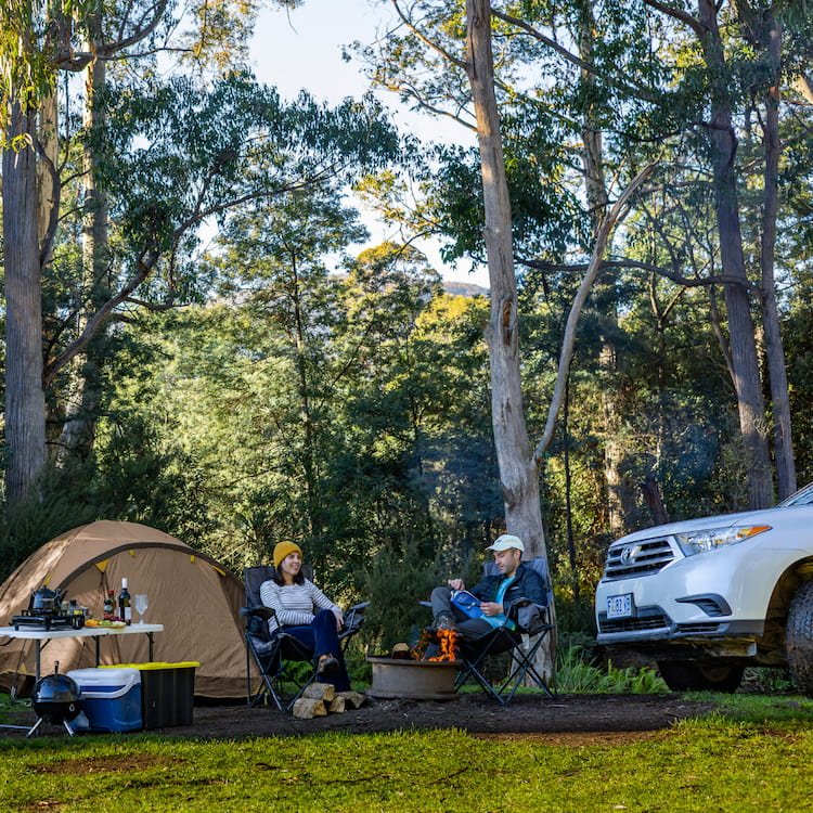 camping gear set up