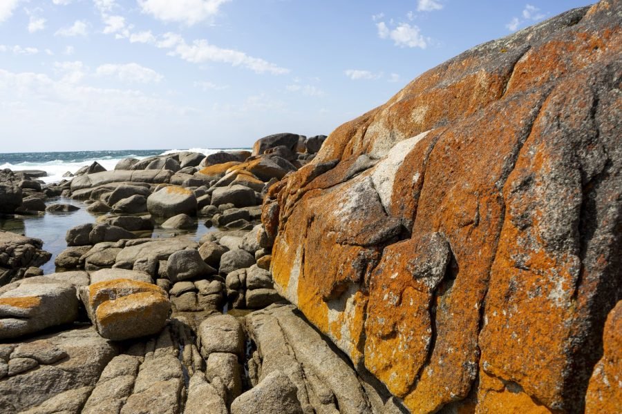 30_tasmania_bay_of_fire_2502_cr-Angela-Peter (1) (1)