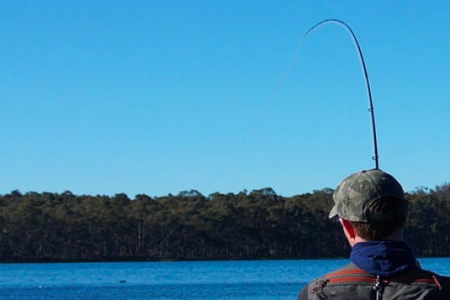 Fly Fishing in the Central Highlands? | Explora