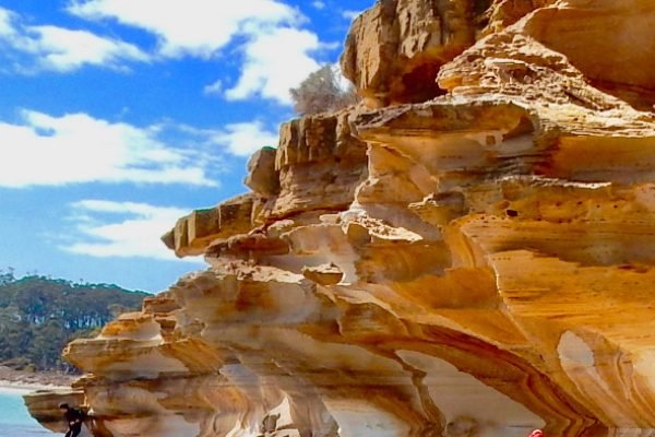 Copy-162-of-Untitled-design-High-Quality-6-fotor-2023110815834