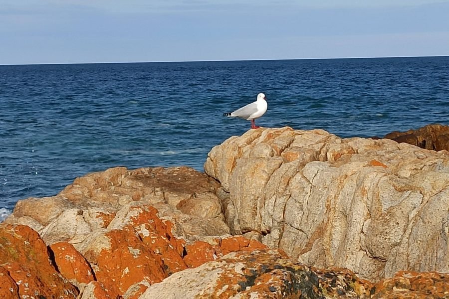 Freycinet National park