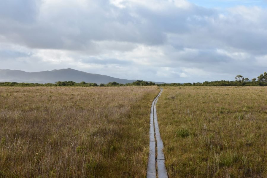 South Coast Track-unsplash (1) (2)