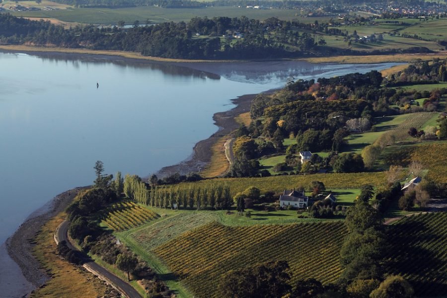 Tamar+Vineyards+aerial-fotor-20231108153646