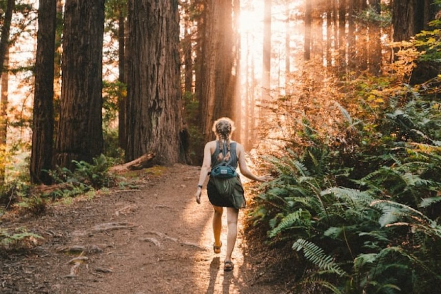 kevin-wolf-rr-3tpYdUb0-unsplash