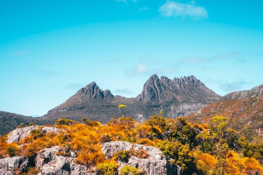 laura-smetsers-tBhJp-i-cIw-unsplash Large