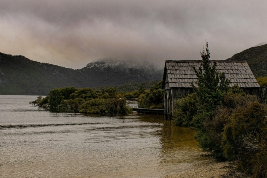 nadia-levenets-DE6ze2aVets-unsplash Large