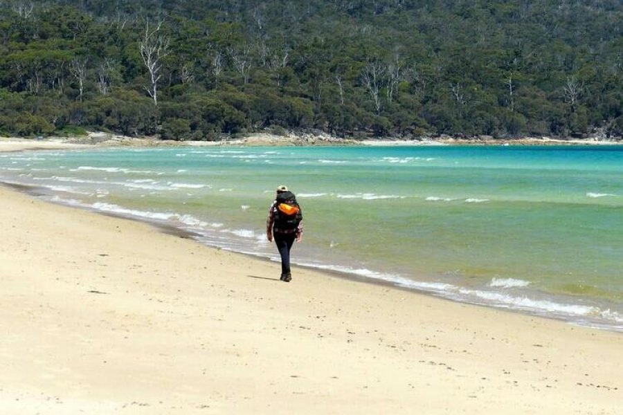 pexels-mark-direen-622749-17797967 TRIP